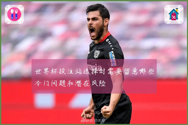 世界杯投注站选择时需要留意哪些冷门问题和潜在风险