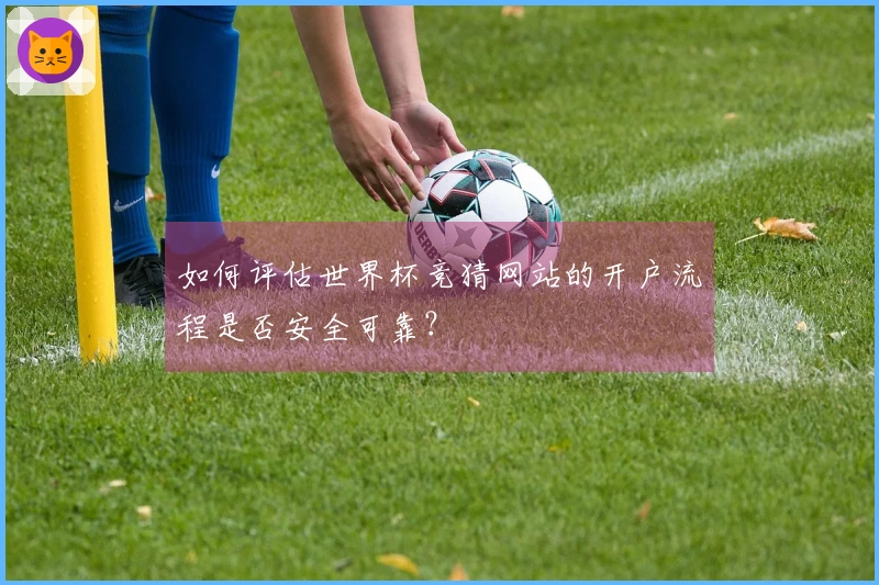 如何评估世界杯竞猜网站的开户流程是否安全可靠？